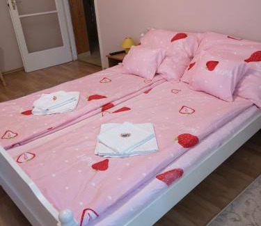 Oroshaza Apartment | Natasa Apartman