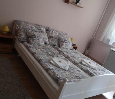 Oroshaza Apartment | Natasa Apartman