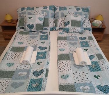 Oroshaza Apartment | Natasa Apartman