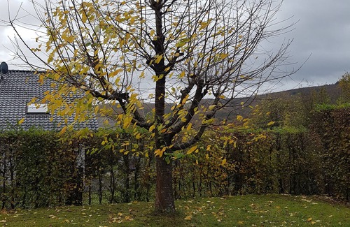 Hasenfeld Apartment | Nationalpark Eifel! "eifelquartier" Zuhause in der Natur!