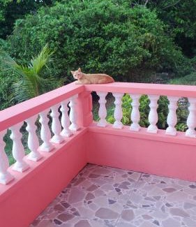 Marigot Bed & Breakfast | Natrue's Haven