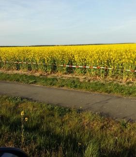 Kotzen Apartment | Natur-Freude-19p