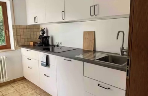 Oberschopfheim Apartment | Natural apartment next to the vines. Pet friendly. Near Europapark.