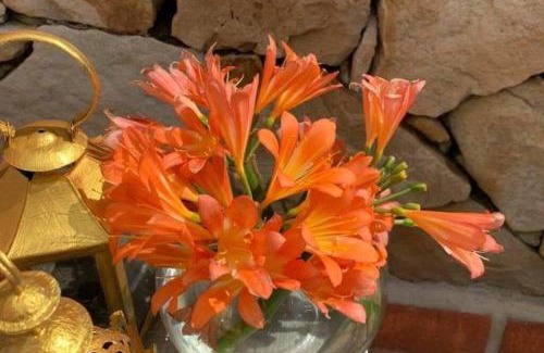 Tarifa Apartment | NATURAL DREAM APARTMENT BLUE WIFI