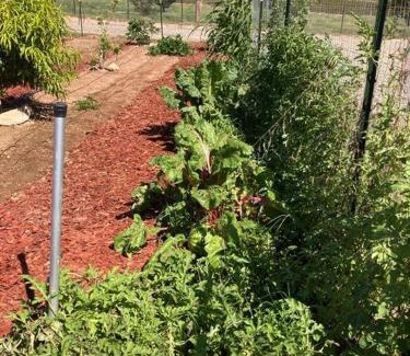 Cornville House | Natural Healing Oasis with Organic Veggie Gardens