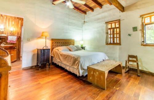 Miacatlan House | Natural Retreat & Pet-Friendly Escape