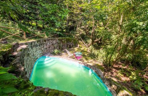 Miacatlan House | Natural Retreat & Pet-Friendly Escape