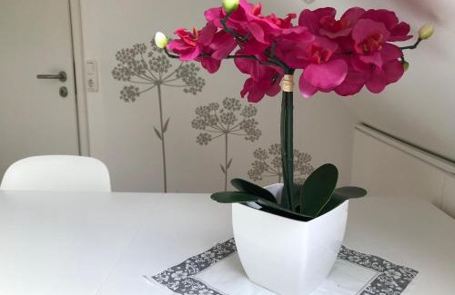 Pleinfeld Apartment | Naturapur