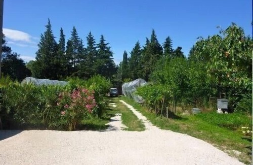 Les Angles House | Nature 4 minutes from Avignon, charming country house.