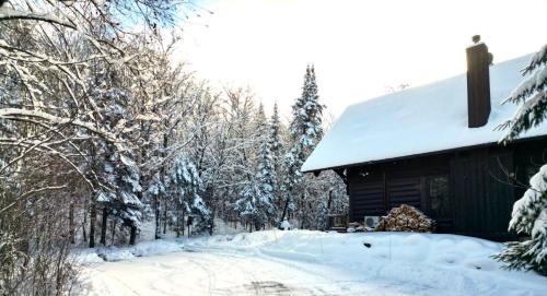 Lac-Superieur Ski Chalet | Nature and Relaxation await for you at Eko Chalet 59