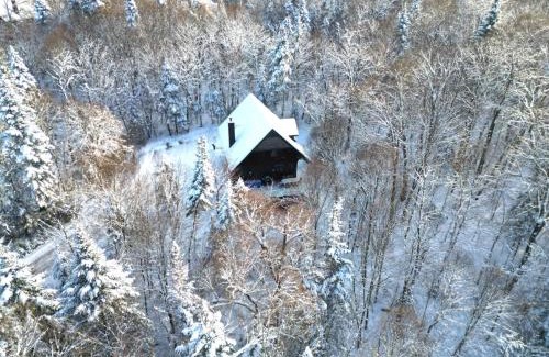 Lac-Superieur Ski Chalet | Nature and Relaxation await for you at Eko Chalet 59
