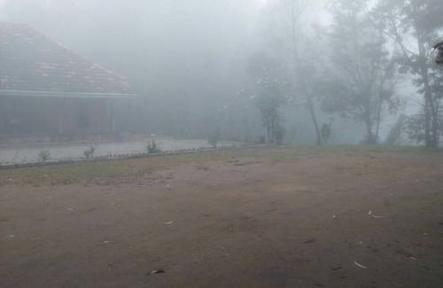 Periyur House | Nature Castle-A Traditional Kerala Style wooden home