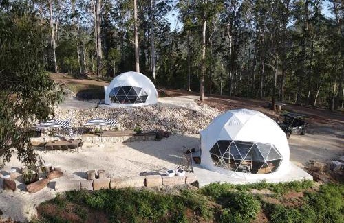 Toms Creek Other | Nature Domes