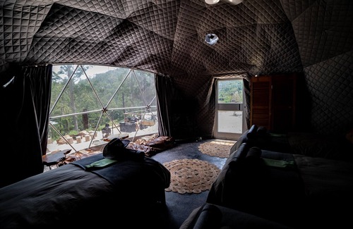 Toms Creek Other | Nature Domes