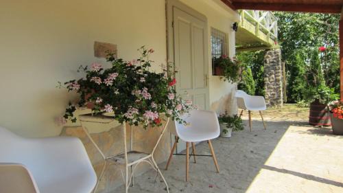Zalaszentgrot House | Nature House Arany