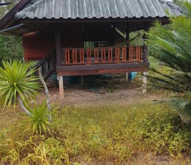 Tamot Other | Nature House & Camp