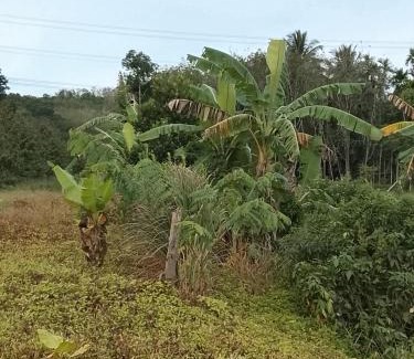 Tamot Other | Nature House & Camp