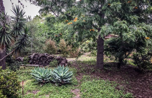 Fairbanks Ranch House | Nature House, Rancho Santa Fe/Carmel Valley