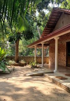 Negombo Apartment | Nature love Negombo