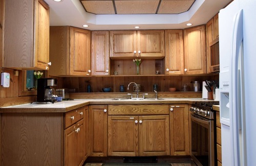 Rockwood Cabin | Nature Lover's Delight + Kitchen + Cozy Fireplace