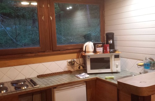 Sagelat Ski Chalet | Nature lovers chalet nestled in the heart of Perigord with heated pool