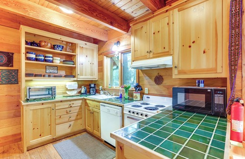 McKenzie Bridge Cabin | Nature-Packed McKenzie River Retreat w/Trails!