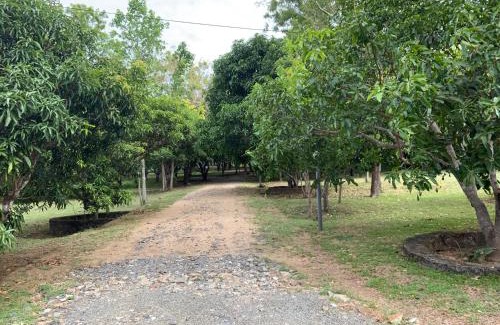 Polonnaruwa Resort | Nature Resort