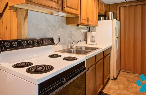 Scottsburg Cabin | Nature Retreat: Cozy Vacation Rental in Wayland, NY - 10 Acres of Serenity!