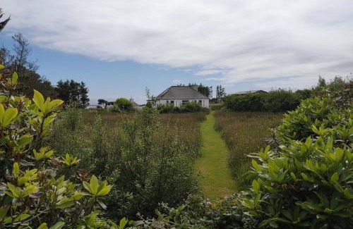 Doohooma House | Nature Retreat - Sleeps 4 & Wild Ponies