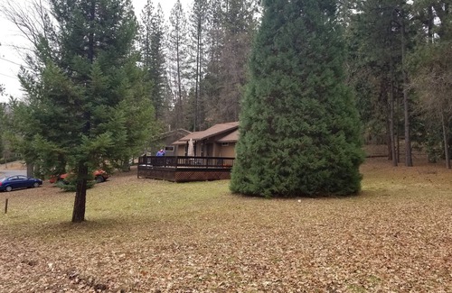 Groveland House | Nature's Beauty, Rest, Relax and Recuperate in a Natural Wonderland