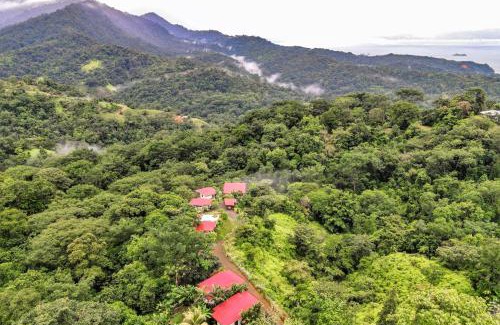 Ballena Cabin | Nature's Edge Boutique Hotel