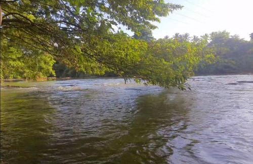 Alawwa House | Nature's Hideout Holiday Home