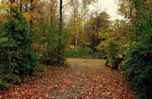 Hillsboro Cabin | Nature's Nook Cabin