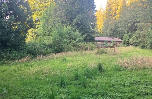 Mirrormont RV Rental | Nature's Paradise Camp Spot!