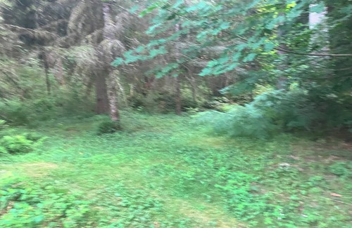 Mirrormont RV Rental | Nature's Paradise Camp Spot!