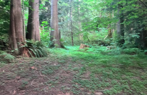 Mirrormont RV Rental | Nature's Paradise Camp Spot!