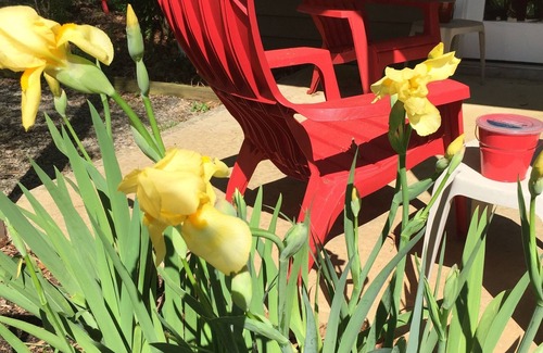 Huddleston Apartment | NATURE'S RETREAT - REST & RELAXATION-QUIET & PEACEFUL VIBE
