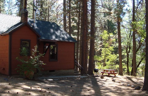 Blairsden-Graeagle Cabin | Nature Sabbatical ~ Charming Cabin on 40 Acres by Feather River
