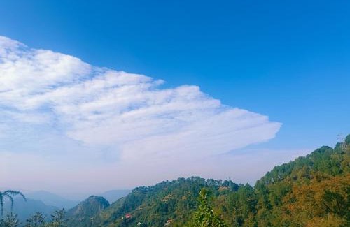 Shimla House | Nature Sanctuary Stay