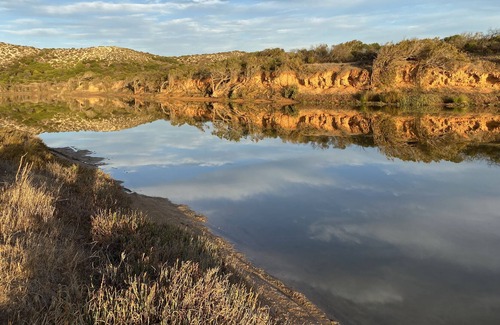 Greenough House | Nature Stay: The Loft