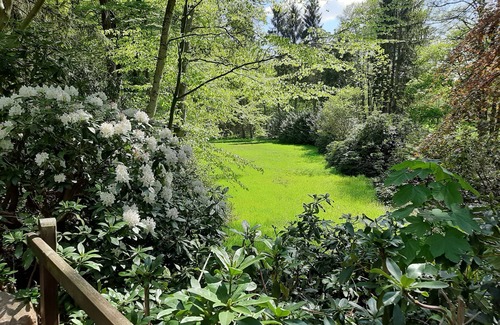 Brockel Cabin | Nature vacation on 23000 m² natural site
