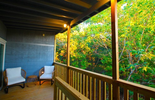 Miller Grove Apartment | Nature’s Hideaway - The Urban Treehouse