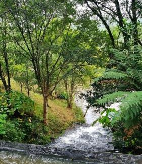 Barao House | Natureza e conforto em um só lugar