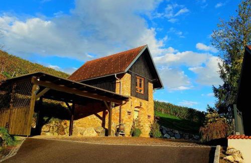 Sankt Stefan ob Stainz Apartment | Naturjuwel inmitten der Weinberge
