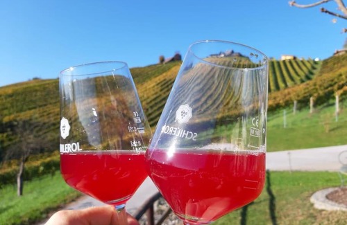 Sankt Stefan ob Stainz Apartment | Naturjuwel inmitten der Weinberge
