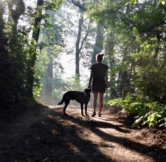 Municipality of Haaksbergen Villa | Natuurlogies Buurse Buiten