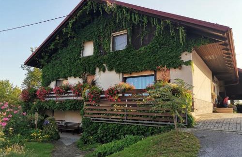 Vrhnika Apartment | Nauportus