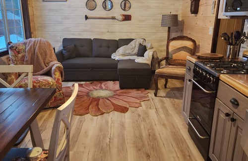 Rooseveltown Cabin | Nauti river cabin on Deer river Brasher with A/C and wifi