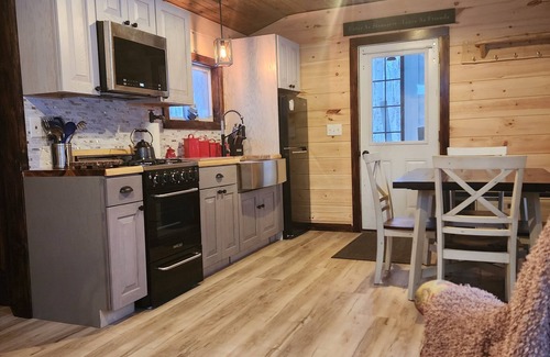 Rooseveltown Cabin | Nauti river cabin on Deer river Brasher with A/C and wifi