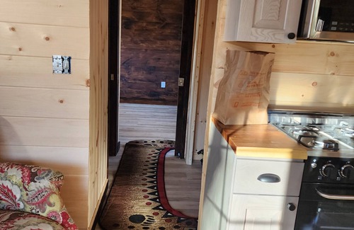Rooseveltown Cabin | Nauti river cabin on Deer river Brasher with A/C and wifi